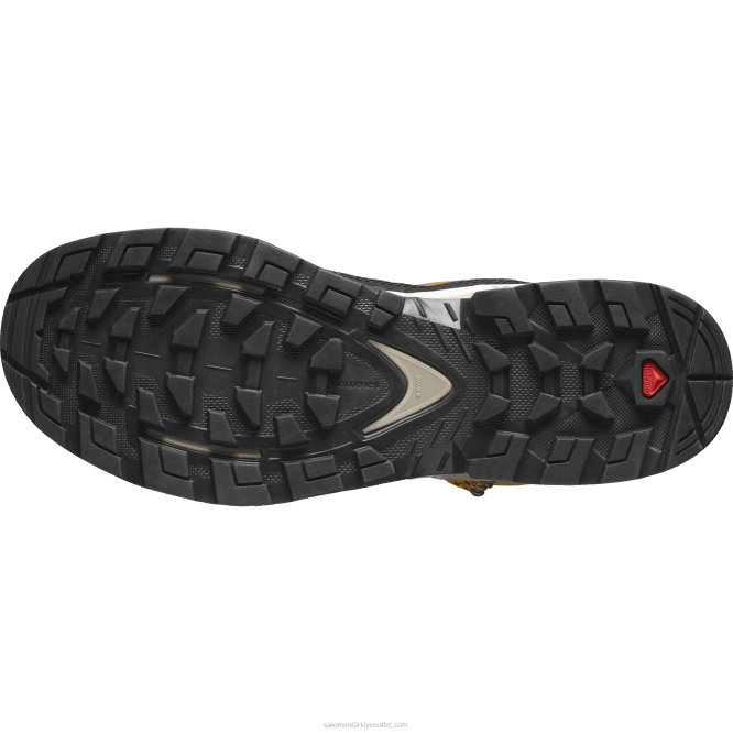 SalomonLF4H50 erkek deri yürüyüş botları - quest element gore-tex kimyon/ağartılmış kum/safran