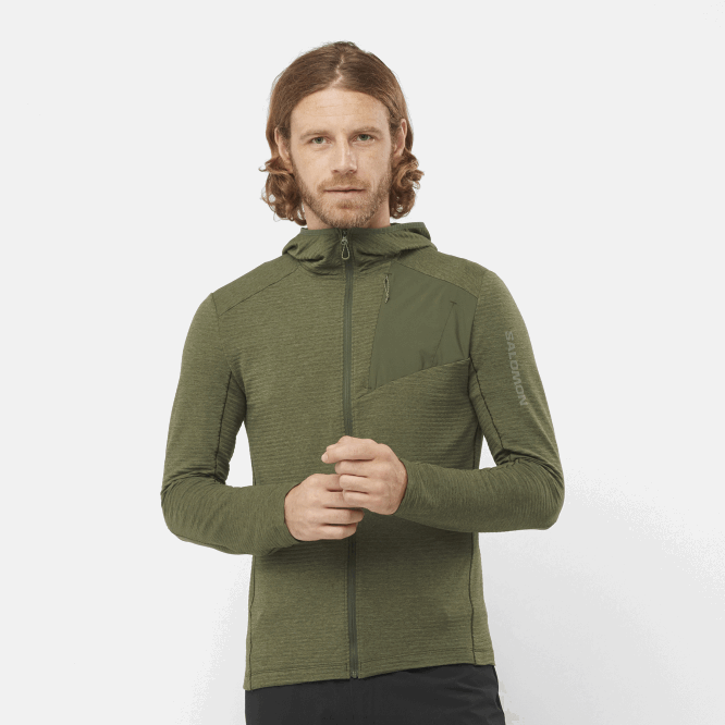 üzüm yaprağı/orman gecesi