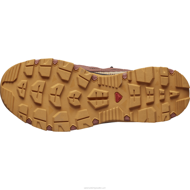 SalomonLF4H789 kadın su ayakkabısı - techamphibian 5 sedir ağacı/güderi/gül bulutu