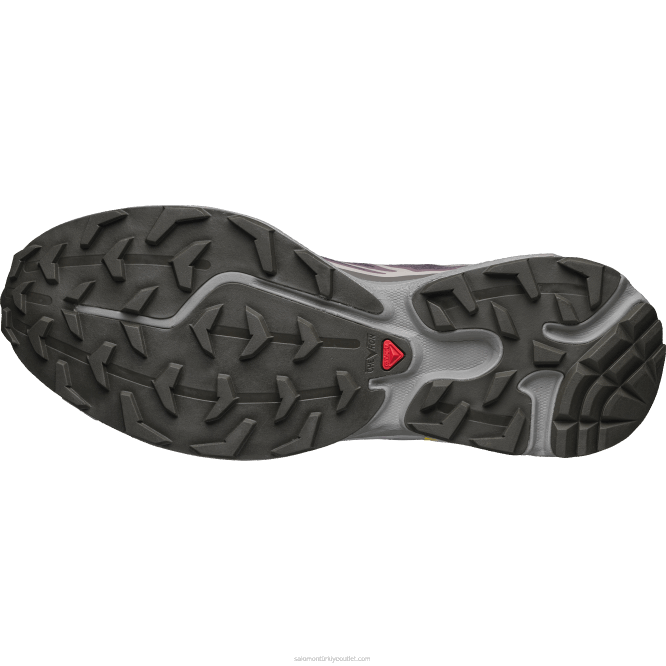 SalomonLF4H79 erkek spor ayakkabı - xt-6 ay manzarası/erik yavru kedi/martı