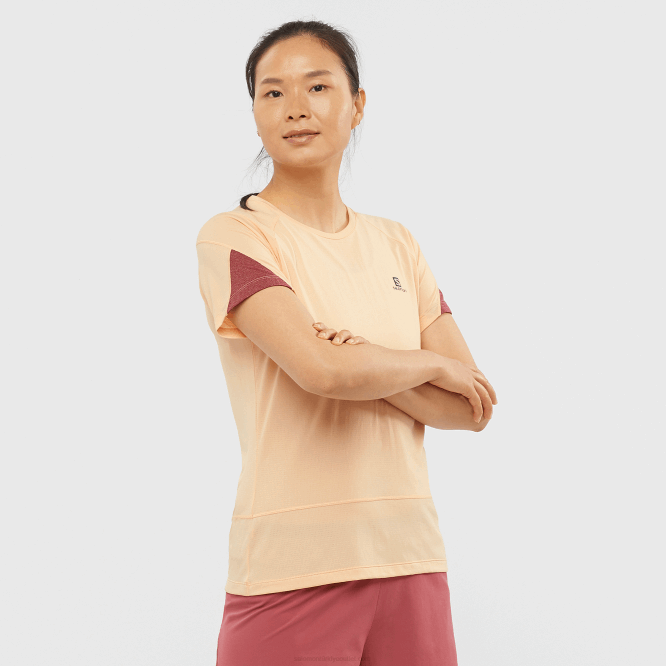 SalomonLF4H891 kısa kollu kadın tişörtü - çapraz koşu kayısı buzu/funda/cabernet