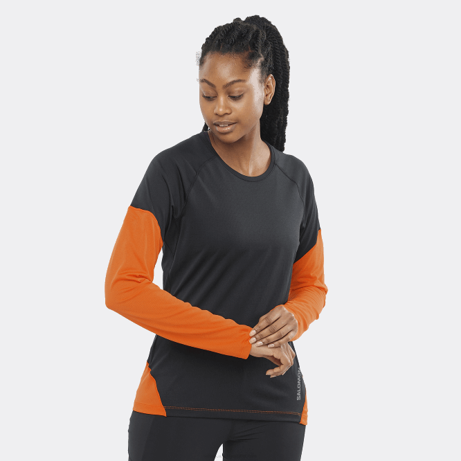 koyu kara/kızıl aynak/gece