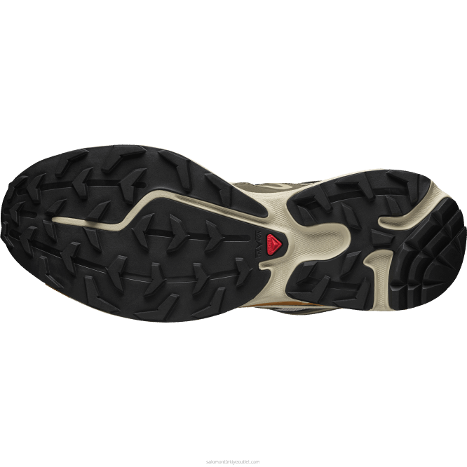 SalomonLF4H99 erkek spor ayakkabı - xt-6 expanse tüy grisi/delicioso/altın meşe