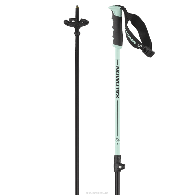 SalomonLF4H1246 erkekler alp sırıkları - mtn alu s3 ağartılmış su